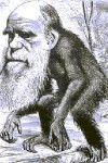 Préfixe évoluer_Singe.jpg