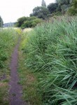 Chassez le naturel_chemin.jpg