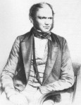 Préfixe évoluer_Darwin.jpg