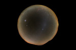 The darkest sky, Milky Way all around the horizon, Gegenschein