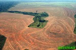 deforestation-novoprogresso