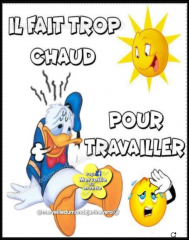 Capture d'cran 2025-07-05 092023.png