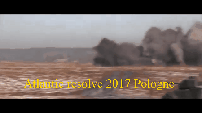 Operation Atlantic Resolve 2017