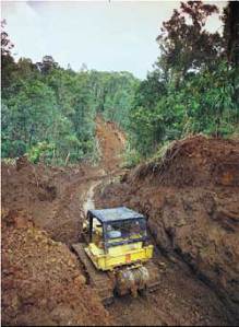 bulldozing-for-palm-oil-fr