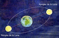 pleinelune5--perigee.jpg