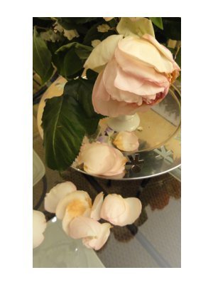 roses fanees