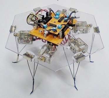 RÃ©sultat de recherche d'images pour "physarum robot"