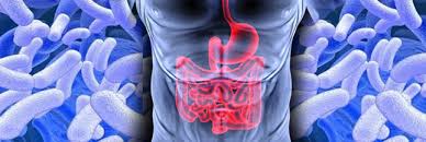 Microbiote intestinale