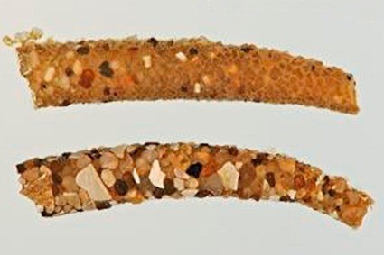 Fourreaux de Athripsodes sp