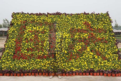 Liu Bolin Hiding in the City No. 90- National Day, 2010 