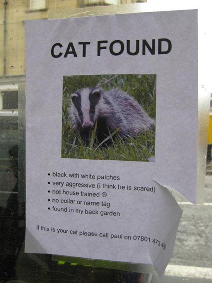 Taxonomy Fail