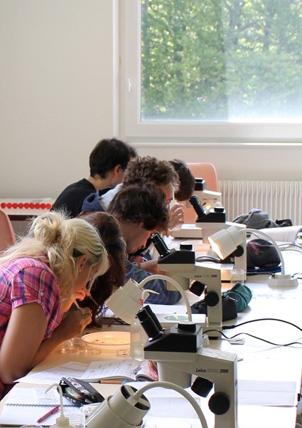 Etudiants  l'tude