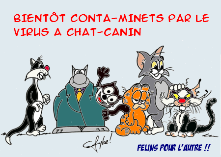 fybe virus a chat canin