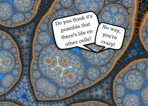 Outer Cells