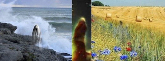 JPEG - 40.7 ko