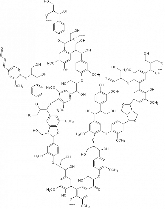 GIF - 8 ko