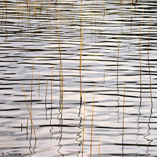�CHOS 4 / ECHOES 4 - � Ossiane. All Rights Reserved. 