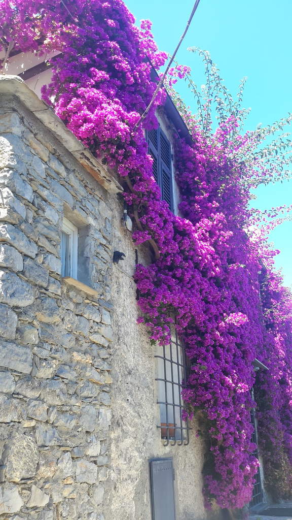 Sept jours  Cinque terre (Italie)