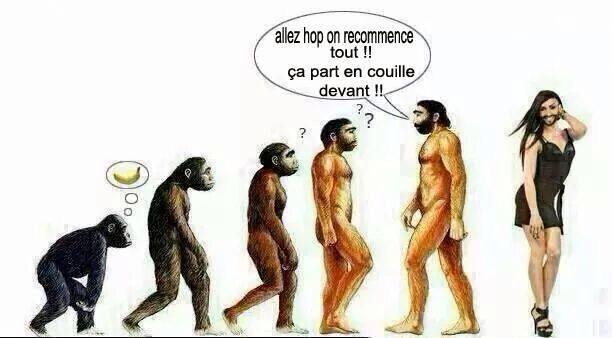Darwin {JPEG}