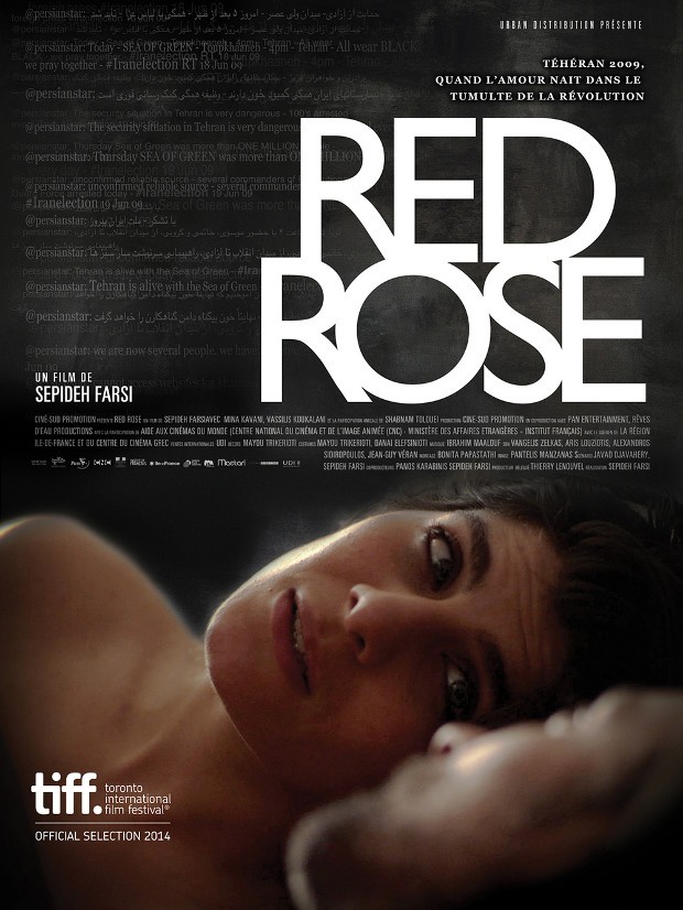 Affiche Red Rose