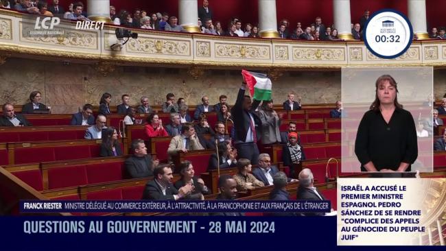 Drapeau palestinien brandi dans l'h�micycle : S�bastien Delogu (LFI) exclu  de l'Assembl�e nationale pour 15 jours de s�ance | LCP - Assembl�e nationale