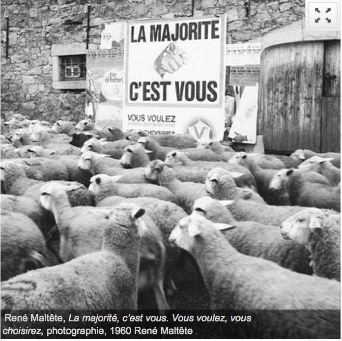 Image result for mouton de panurge