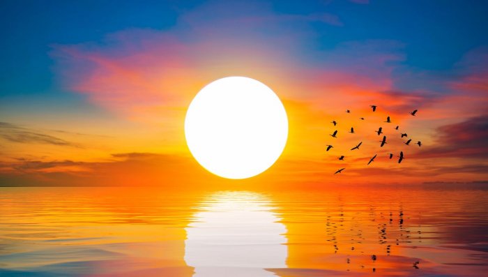Ô Soleil ! toi sans qui les choses ne seraient que ce qu'elles sont. {JPEG}
