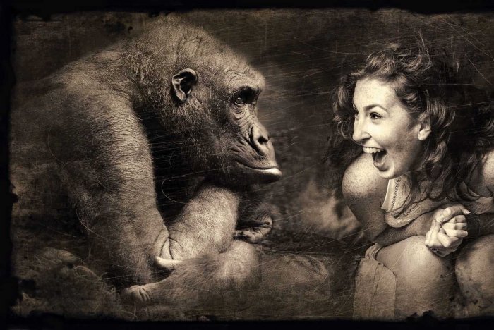 JPEG - 152.6 ko