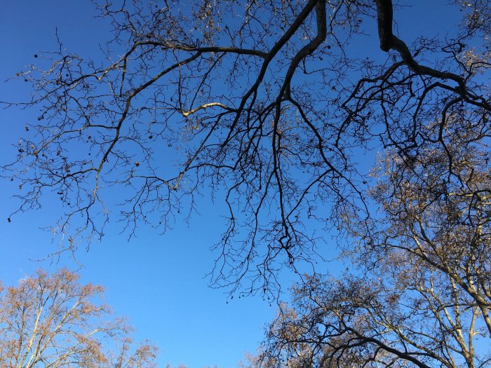 JPEG