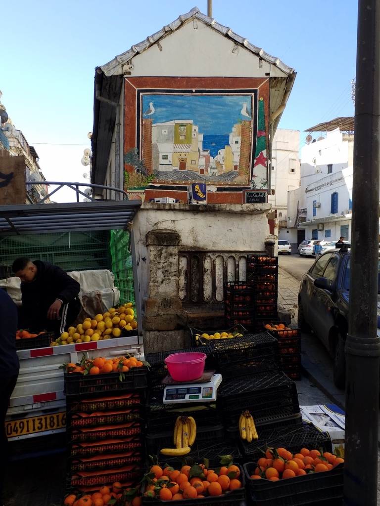 L'Algrie, 40 ans ans plus tard, Alger et Tipasa (1)/..