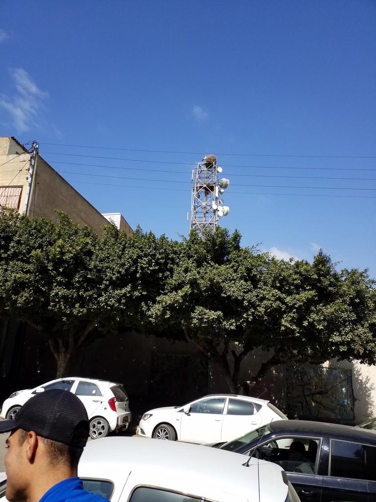Algérie, 40 ans plus tard (2), Oranais...