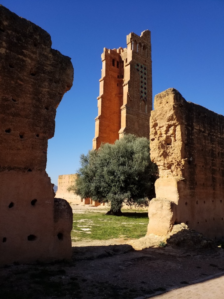 Algérie, 40 ans plus tard (2), Oranais...