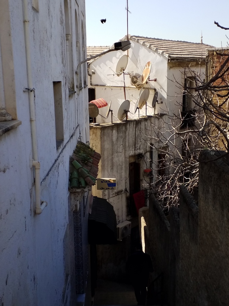 L'Algrie, 40 ans ans plus tard, Alger et Tipasa (1)/..