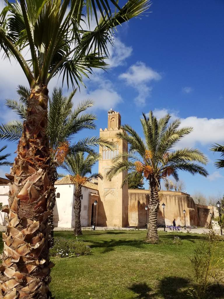 Algérie, 40 ans plus tard (2), Oranais...