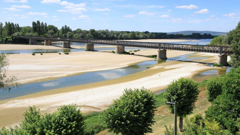 Algue sur bord du sable de Loire, que faire ?