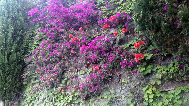 Sept jours  Cinque terre (Italie)