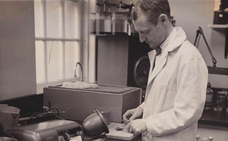 Dr. Harvey in the lab (undated photo)