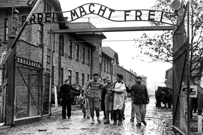 Libration du camp de concentration d'Auschwitz — Wikipdia