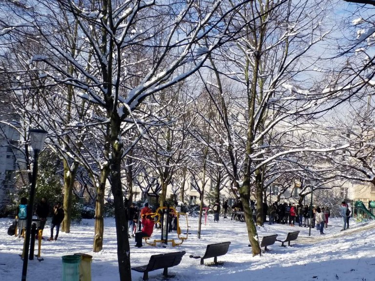 Actualit au Parc de Belleville
