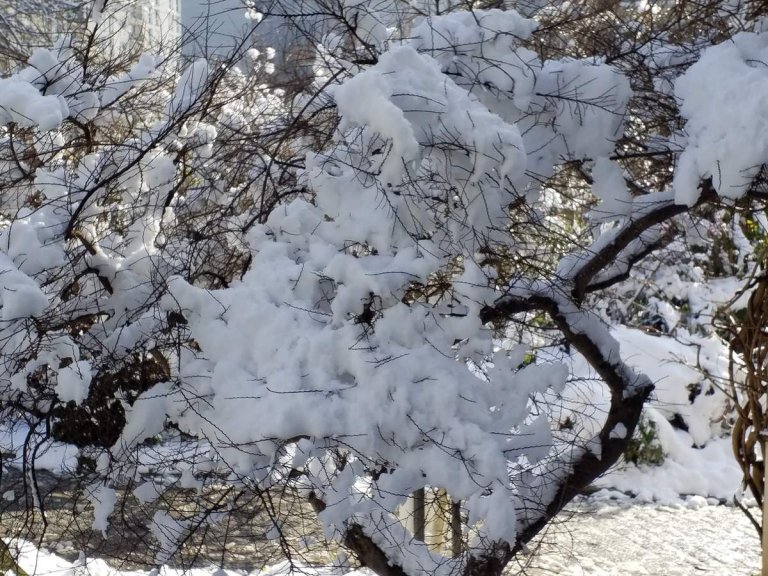 Actualit au Parc de Belleville