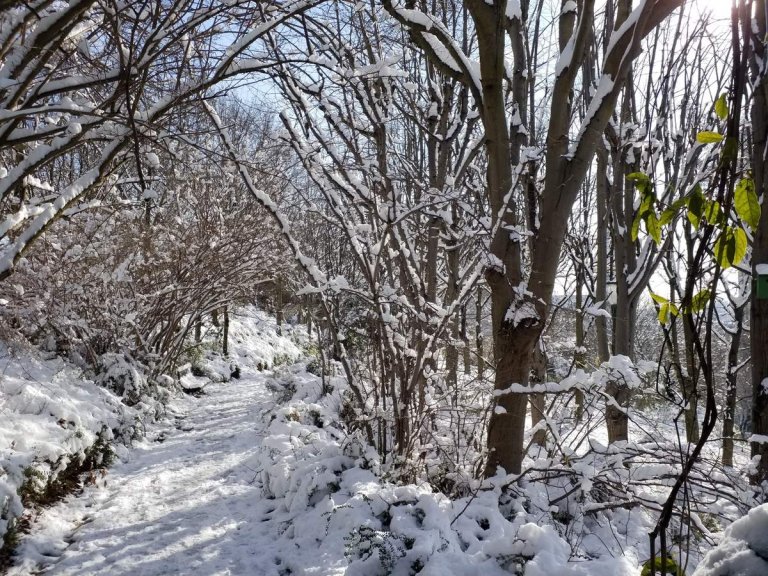 Actualit au Parc de Belleville