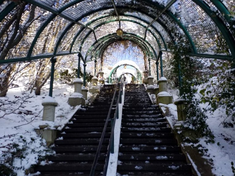 Actualit au Parc de Belleville