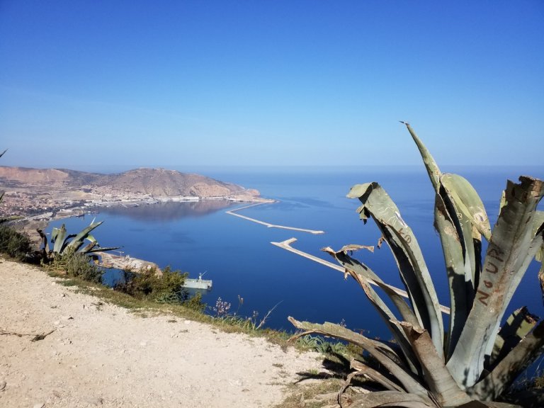 Algérie, 40 ans plus tard (2), Oranais...