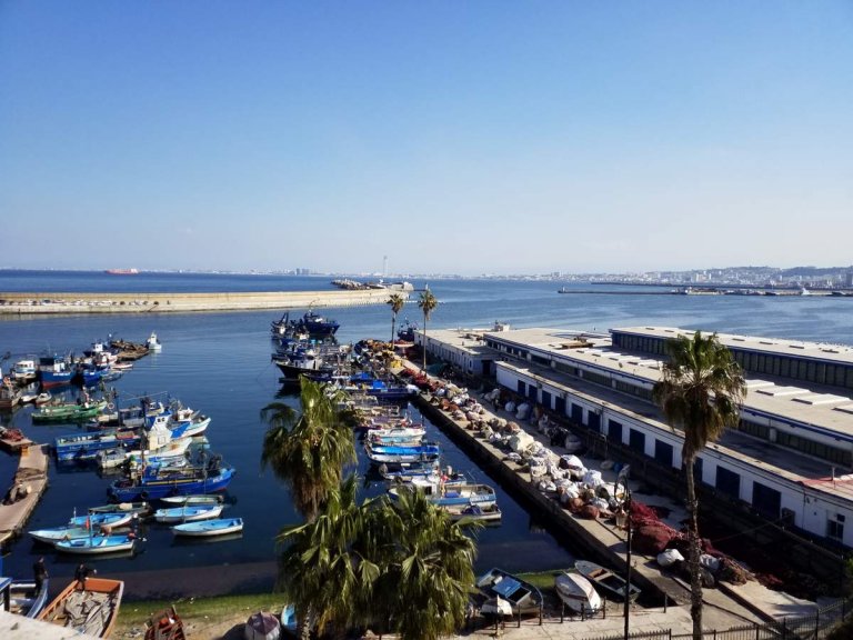 L'Algrie, 40 ans ans plus tard, Alger et Tipasa (1)/..
