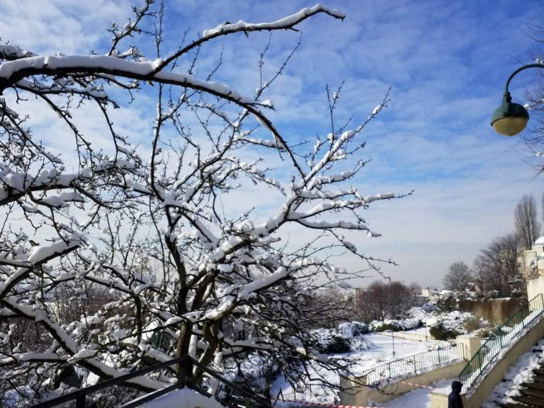 Actualit au Parc de Belleville