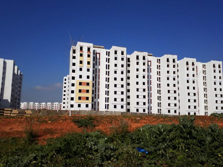 Algérie, 40 ans plus tard (2), Oranais...