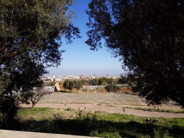 Algérie, 40 ans plus tard (2), Oranais...