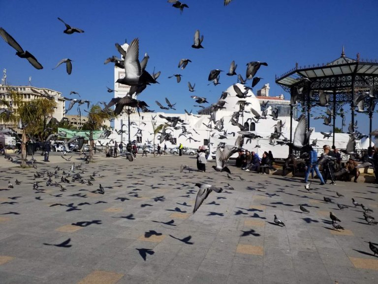 L'Algrie, 40 ans ans plus tard, Alger et Tipasa (1)/..
