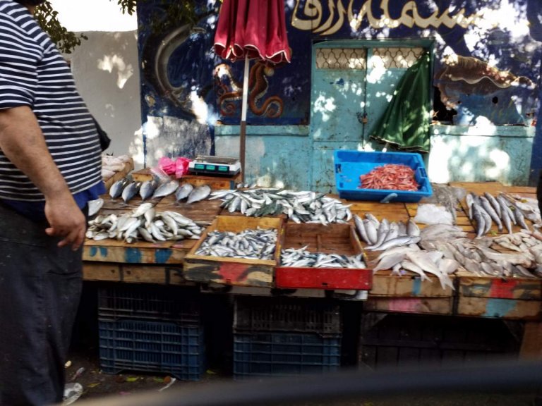 Algérie, 40 ans plus tard (2), Oranais...