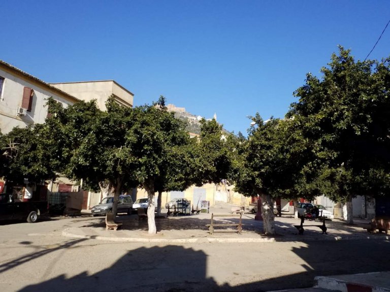 Algérie, 40 ans plus tard (2), Oranais...